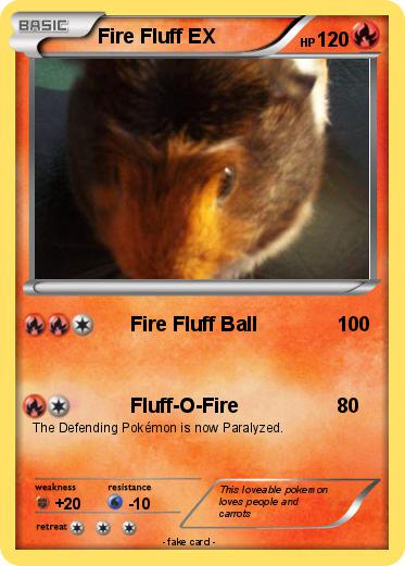 Pokemon Fire Fluff EX