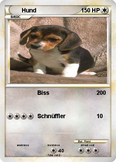 Pokemon Hund
