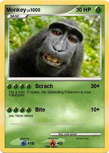 Pokemon Monkey