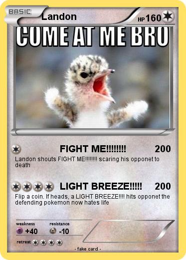 Pokemon Landon