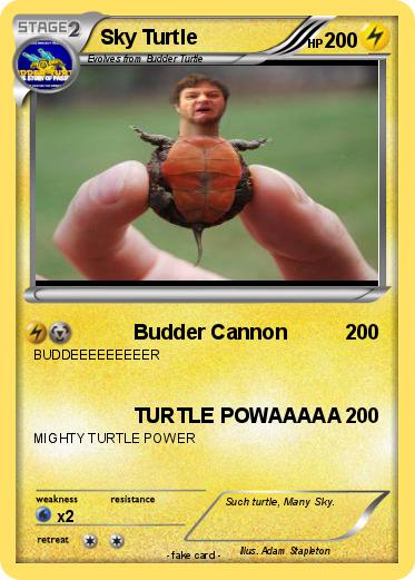 Pokemon Sky Turtle