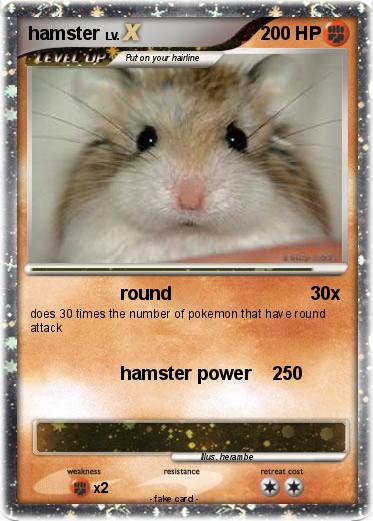 Pokemon hamster