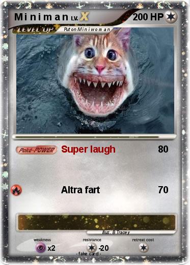 Pokemon M i n i m a n