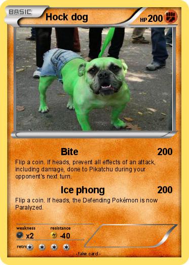Pokemon Hock dog