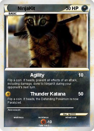 Pokemon NinjaKit