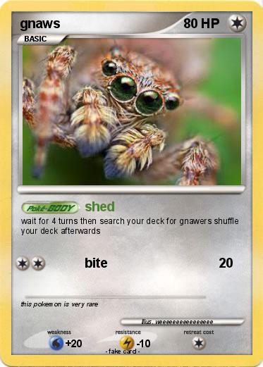 Pokemon gnaws