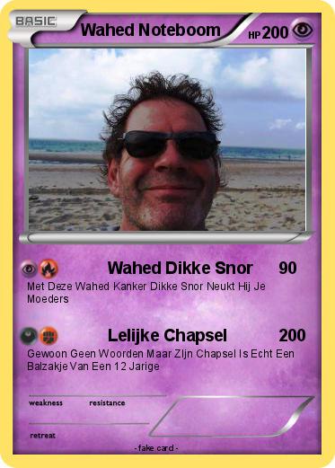 Pokemon Wahed Noteboom