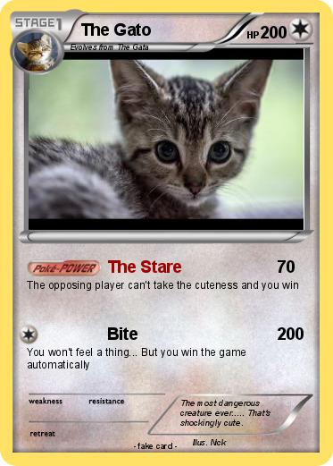 Pokemon The Gato