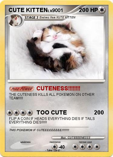 Pokemon CUTE KITTEN