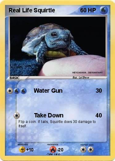 Pokemon Real Life Squirtle