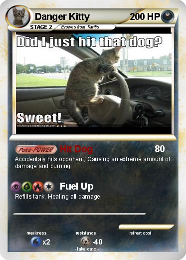 Pokemon Danger Kitty
