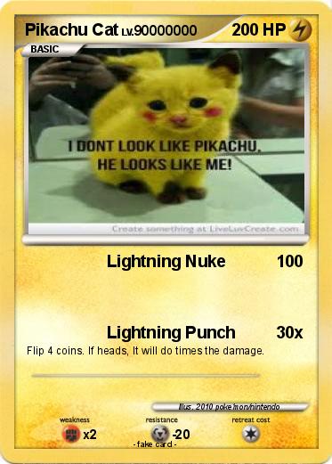 Pokemon Pikachu Cat
