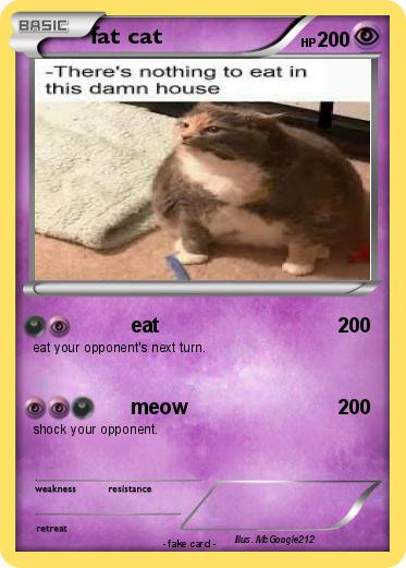 Pokemon fat cat