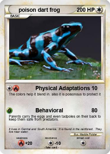 Pokemon poison dart frog
