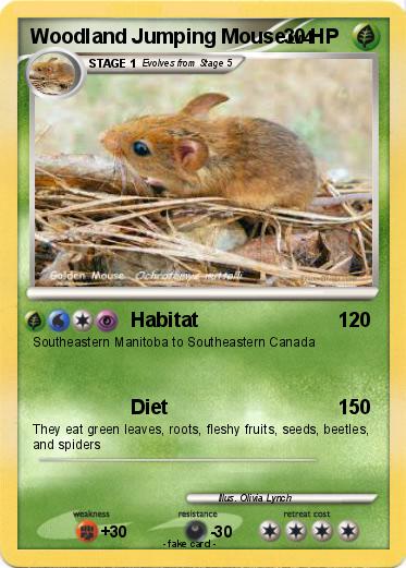 Pokemon Woodland Jumping Mouse