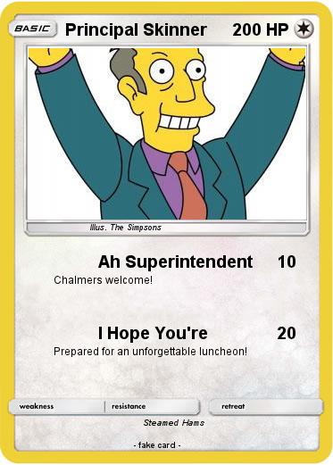 Pokemon Principal Skinner