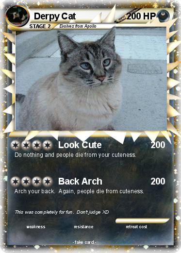 Pokemon Derpy Cat