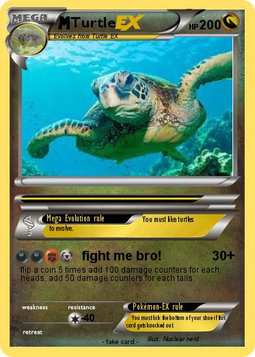 Pokemon Turtle