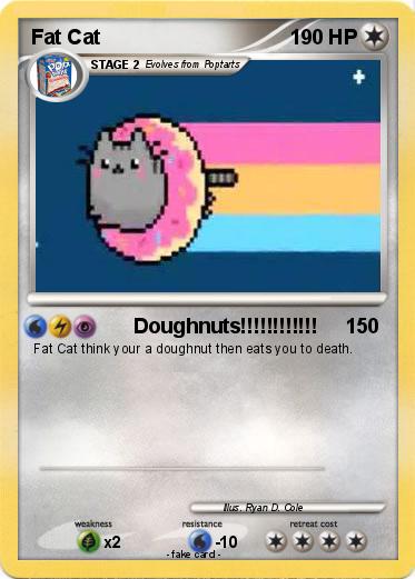 Pokemon Fat Cat