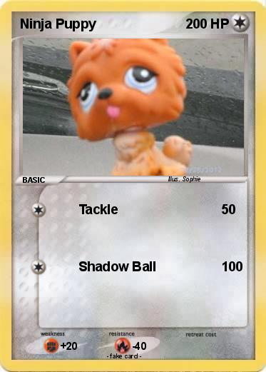 Pokemon Ninja Puppy