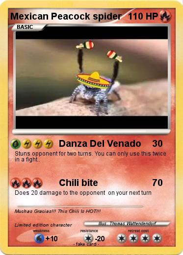 Pokemon Mexican Peacock spider