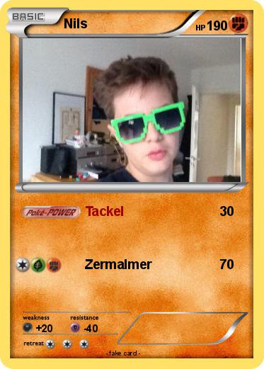 Pokemon Nils