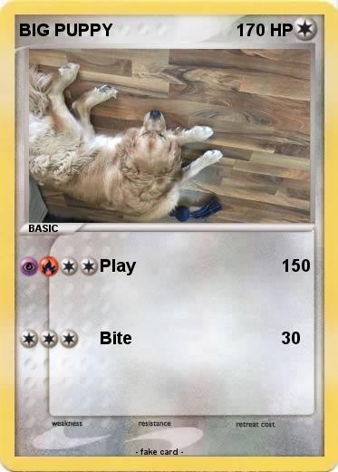 Pokemon BIG PUPPY