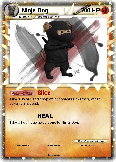 Pokemon Ninja Dog