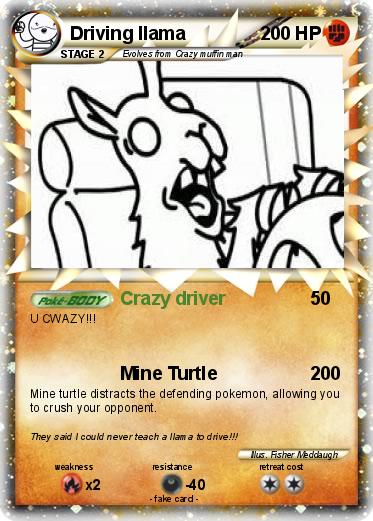 Pokemon Driving llama