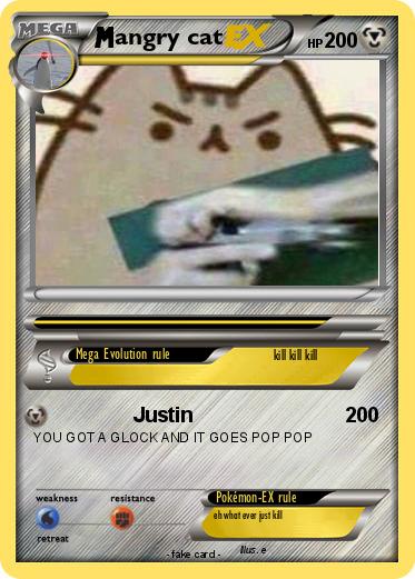 Pokemon angry cat