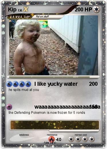 Pokemon Kip