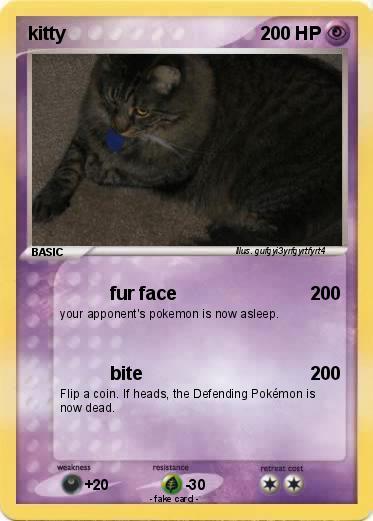 Pokemon kitty