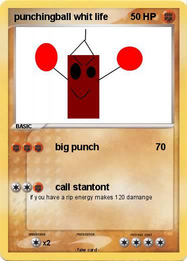 Pokemon punchingball whit life