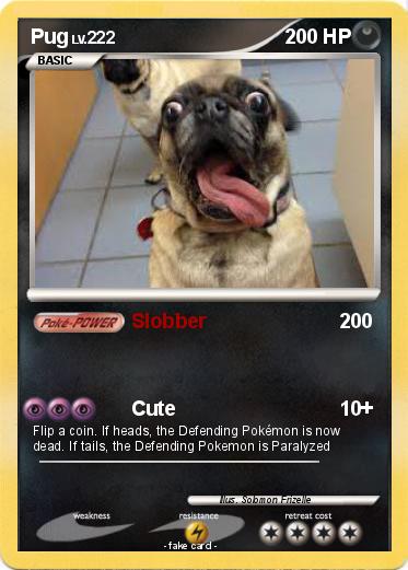 Pokemon Pug