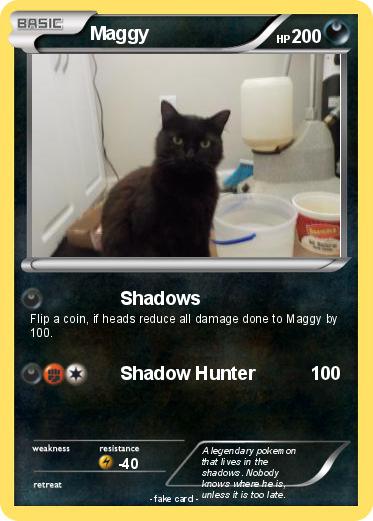 Pokemon Maggy
