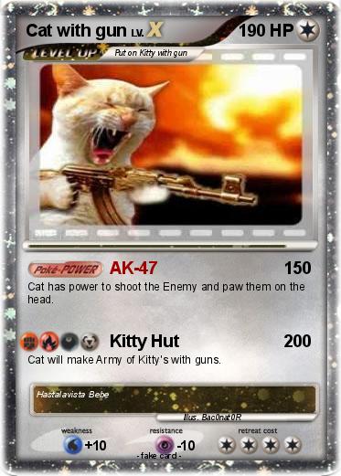 Pokemon Cat with gun