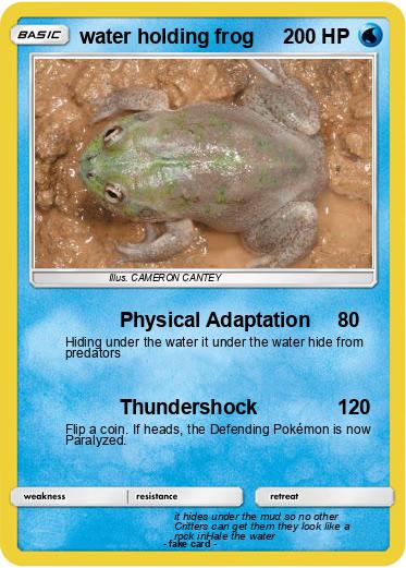 Pokemon water holding frog