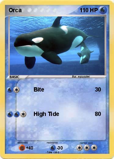 Pokemon Orca