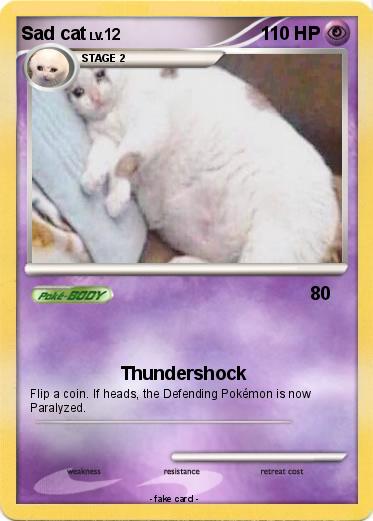 Pokemon Sad cat