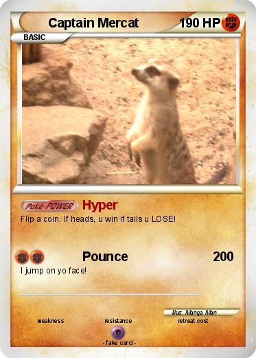 Pokemon Captain Mercat