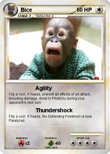 Pokemon Bice