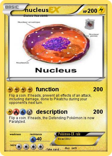 Pokemon nucleus