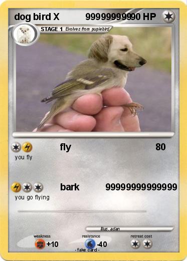Pokemon dog bird X          999999999