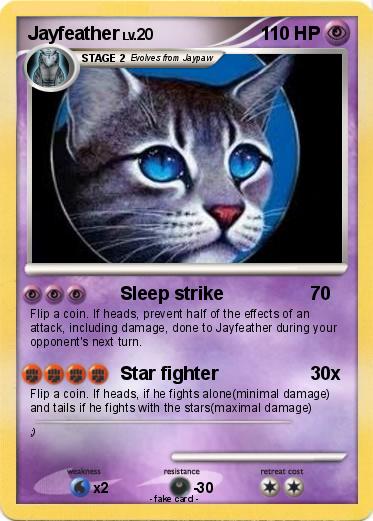 Pokemon Jayfeather