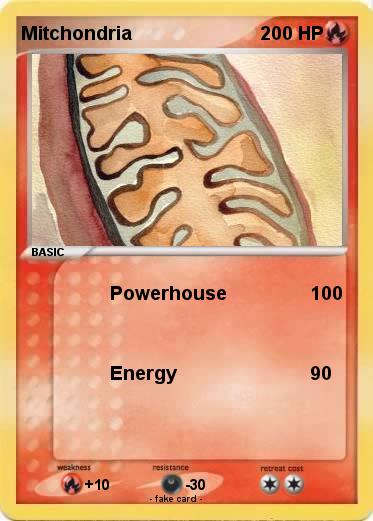 Pokemon Mitchondria