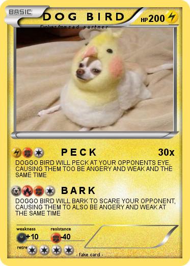 Pokemon D O G   B I R D