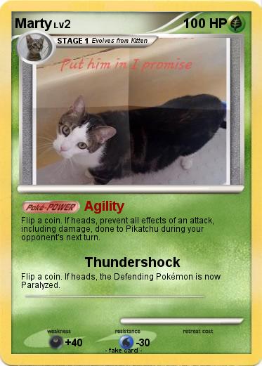 Pokemon Marty