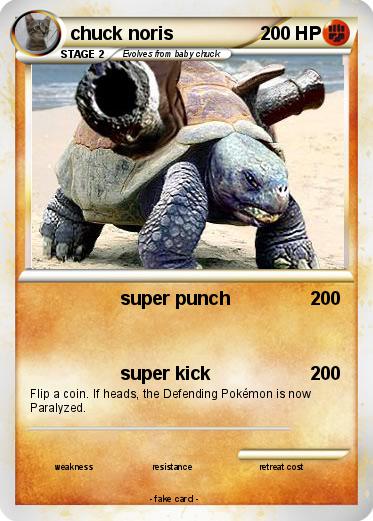 Pokemon chuck noris