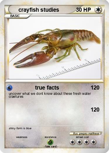 Pokemon crayfish studies