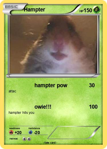 Pokemon Hampter
